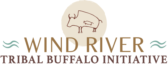 WRTBI Logo
